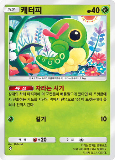 캐터피